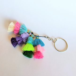 A multicolored tassle keychain