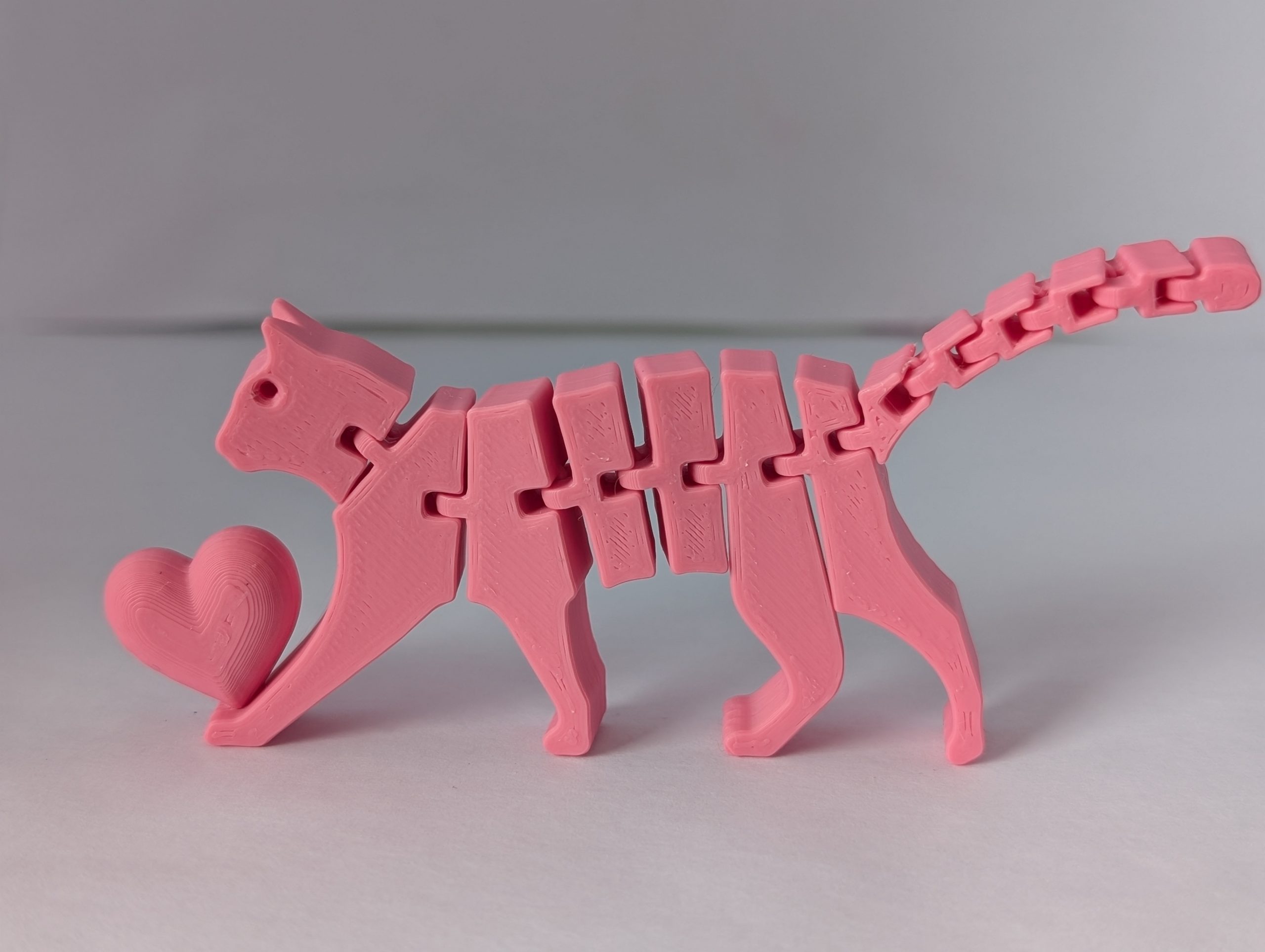 Flexible cat holding a heart